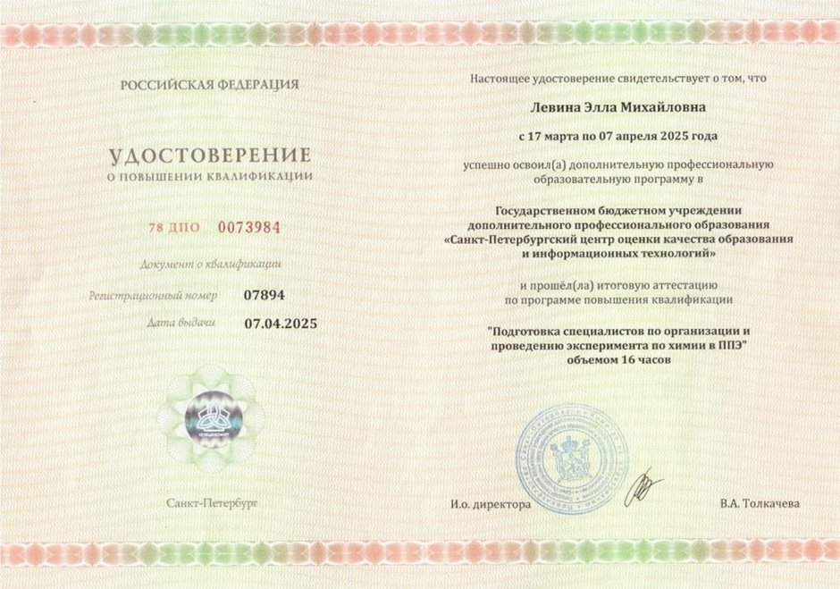 Левина Элла Михайловна 2024-2025